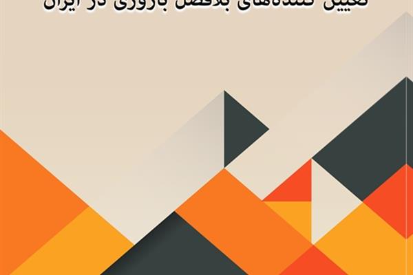 مطالعه‌ی تعیین‌کننده‌های بلافصل باروری در ایران 